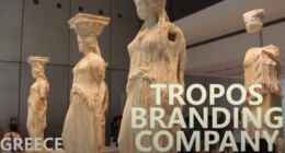 ΓΙΝΕ ΔΙΕΘΝΕΣ BRAND